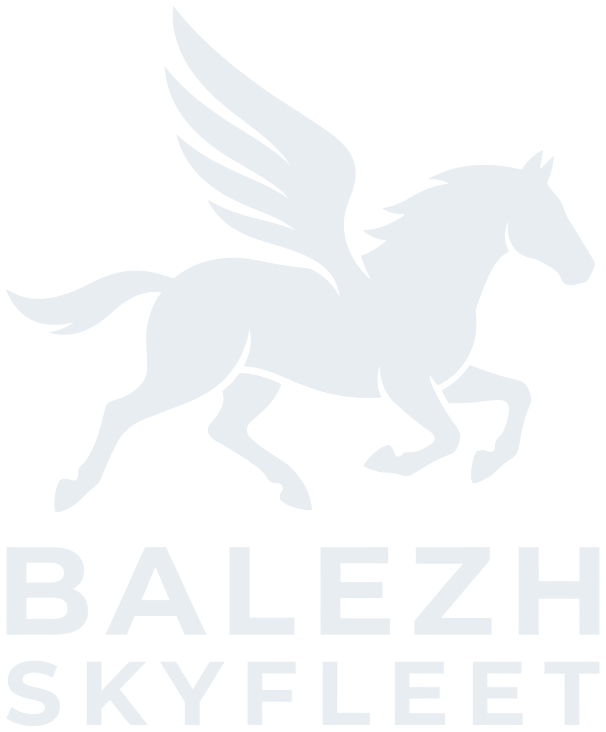 Balezh Skyfleet